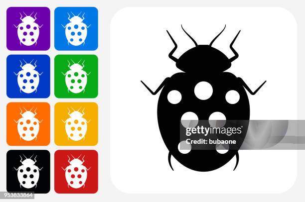 lady bug icon square button set - flying ladybug stock illustrations