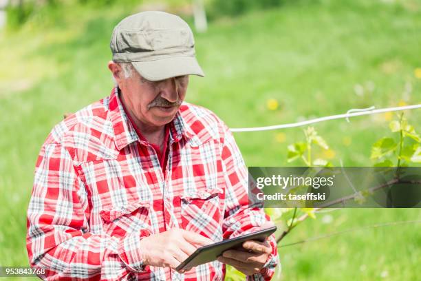senior agriculturist - taseffski stock pictures, royalty-free photos & images