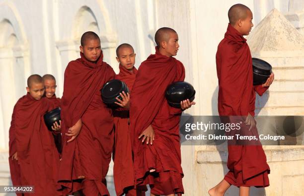 burmese buddhist monks collect alms, myanmar - dietmar temps stock-fotos und bilder