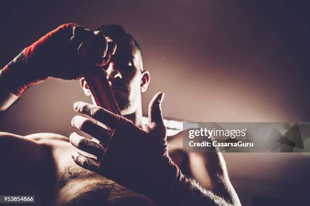 Overprotected Boxer 721 Low Angle Boxer Stock Photos, High-Res Pictures, and Images - Getty ...