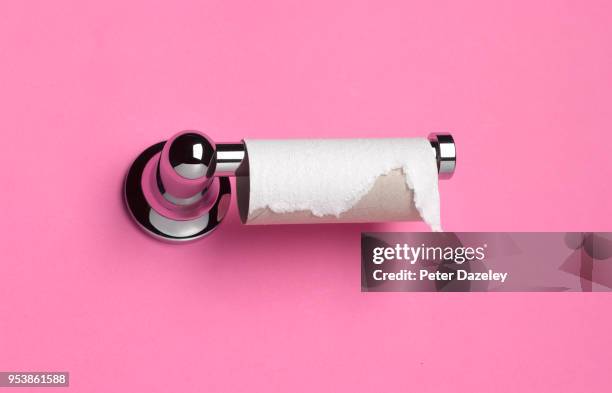 toilet roll that has run out of toilet paper - diarrhoea foto e immagini stock
