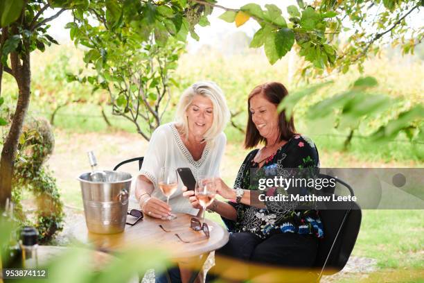 ladies lunch - cucina del medio oriente foto e immagini stock