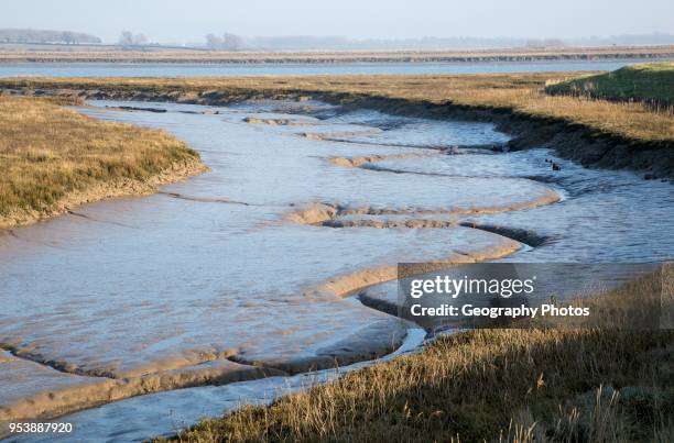 Meanders in muddy channel River Deben low tide, near Falkenham, Suffolk, England, UK.