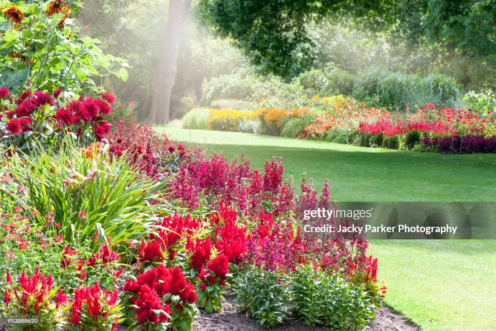 Colourful herbaceous flower borders in the summer sunshine