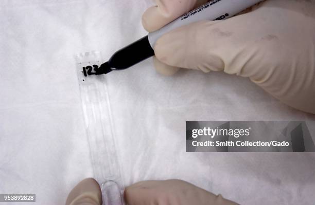 Labeling the agglutination test slide of the Capillus HIV-1/HIV-2 Rapid Test Kit, 2004. Image courtesy Centers for Disease Control / Cheryl Tryon,...