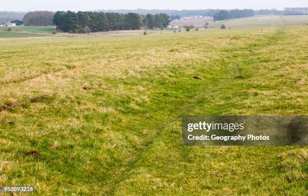 Field view of faint embankment lines 5,500 years old Stonehenge Cursus, Wiltshire, England, UK.