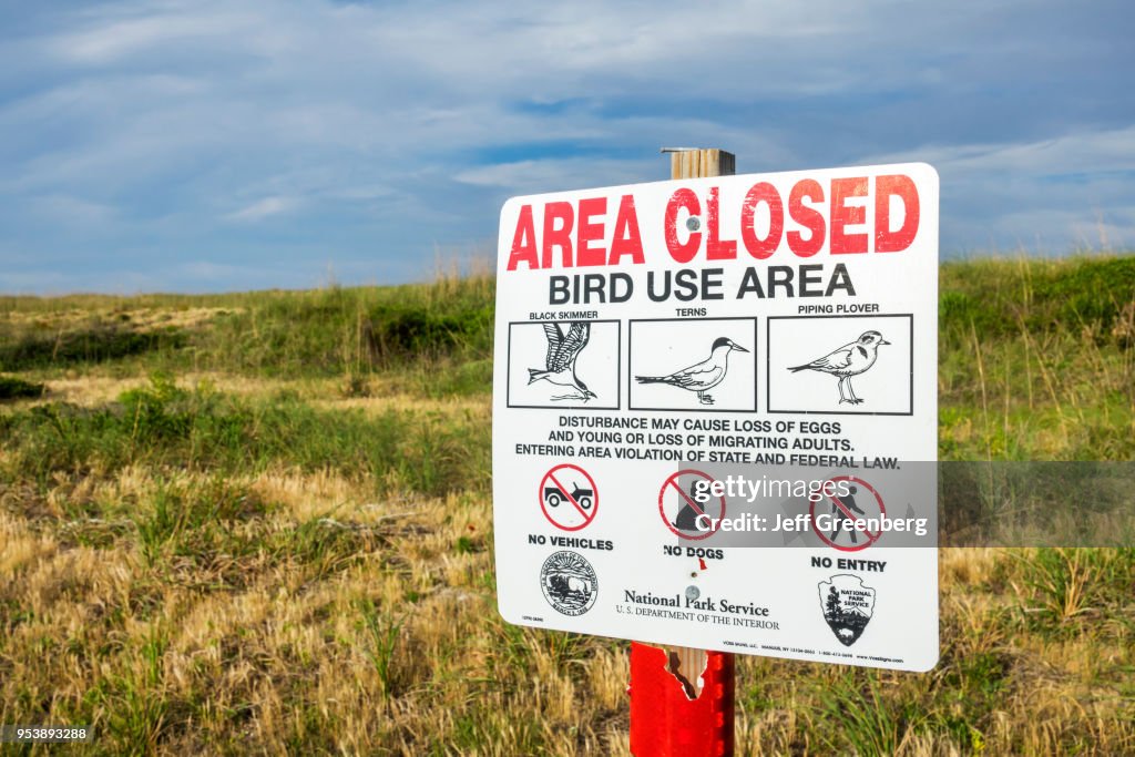 North Carolina, Cape Hatteras National Seashore, Pea Island wildlife refuge habitat preservation closed area