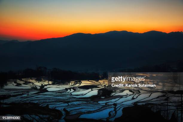 rice terraces - paddy fields yunnan stock-fotos und bilder
