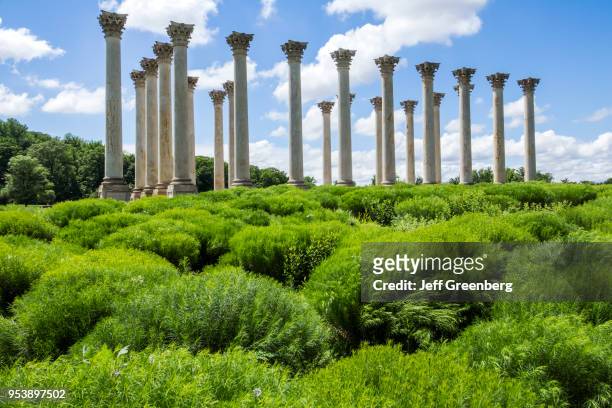 Washington DC, United States National Arboretum, Ellipse Meadow, National Capitol Columns.