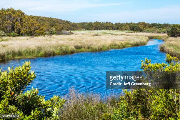 North Carolina, Outer Banks, Ocracoke Island, Island Creek, marsh.
