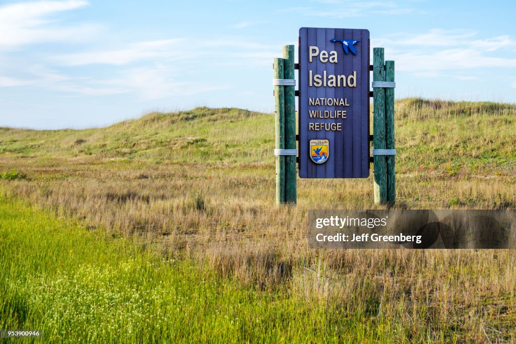 North Carolina, Cape Hatteras National Seashore, Pea Island wildlife refuge bird protection area