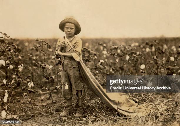 Warren Frakes, 6 years old, Full-Length Portrait, Cotton Picker, Comanche County, Oklahoma, USA, Lewis Hine for National Child Labor Committee,...