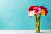 Colorful bunch of gerbera flowers in a glass vase. Blue background. Copy space.