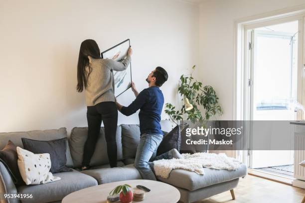 couple adjusting painting on wall while leaning on sofa at home - hanging stock pictures, royalty-free photos & images