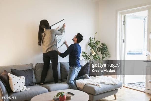 couple adjusting painting on wall while leaning on sofa at home - hanging 個照片及圖片檔