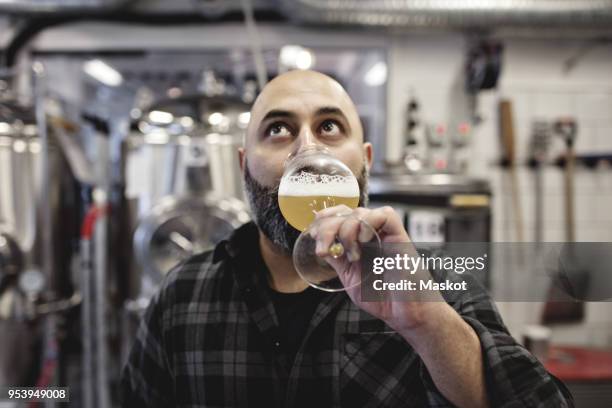 male worker tasting craft beer while standing at factory - fábrica de cerveza artesanal fotografías e imágenes de stock