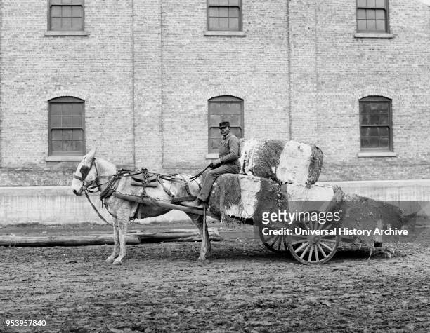 Man and Cotton Cart, Mobile, Alabama, USA, Edward H. Hart for Detroit Publishing Company, 1906.