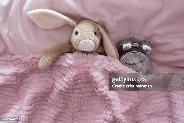 Napping Rabbit 294 Sleeping Baby Rabbit Stock Photos, High-Res Pictures, and Images ...