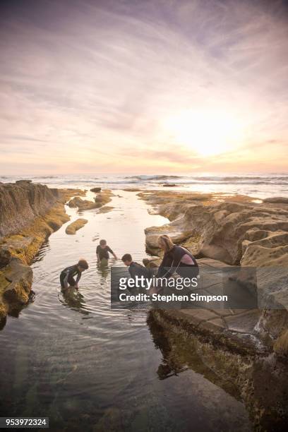 brothers explore tide pools in afternoon - 潮池 個照片及圖片檔