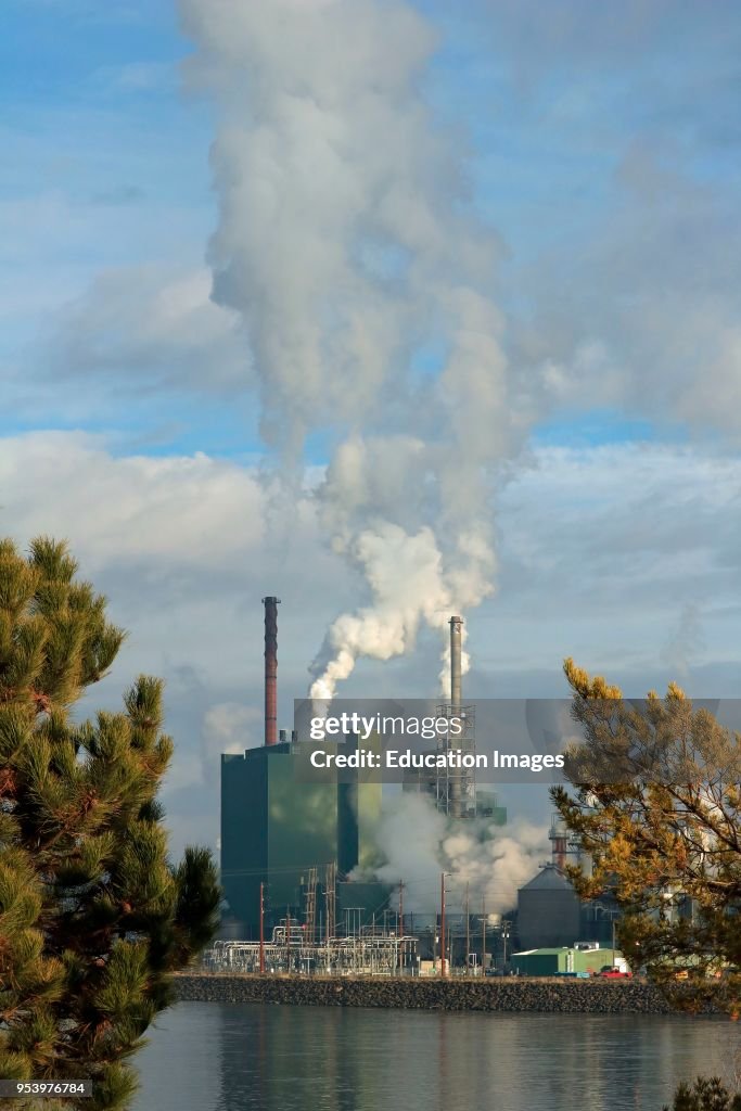 Pulp Mill Operators Riverside industrial pulp mill showing smokestacks and stream... News ...