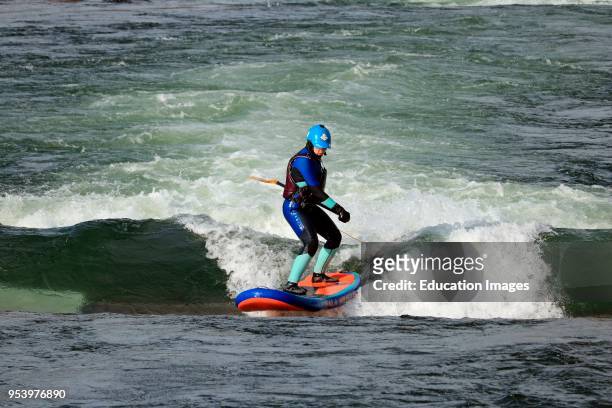 Wet suit clad paddle board surfer rides whitewater wave in a water park along the Deschutes River in Bend Oregon.