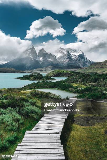 paisaje de torres del paine - patagonia chile fotografías e imágenes de stock