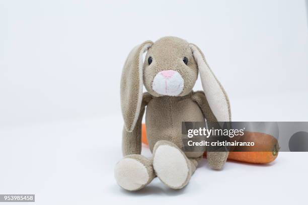 little rabbit sitting - dust bunny stock pictures, royalty-free photos & images