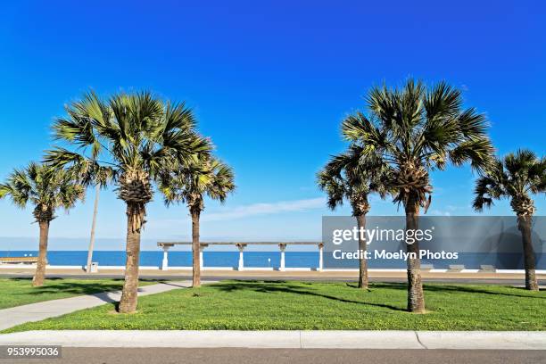 mcgee beach in march - corpus christi stock pictures, royalty-free photos & images