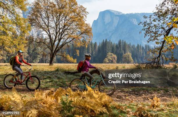 biking in yosemite - yosemite valley stock pictures, royalty-free photos & images