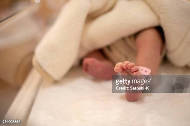 legs of newborn baby, very first of her life - hospital cot stock pictures, royalty-free photos & images