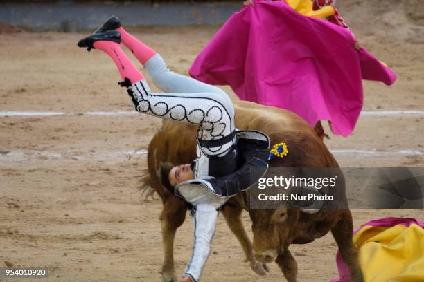 Bullfighter Gonzalo Caballero performs a pass on a bull during the bullfight festivity Goyesca 2 de Mayo at Las Ventas bullring in in Madrid, Spain...