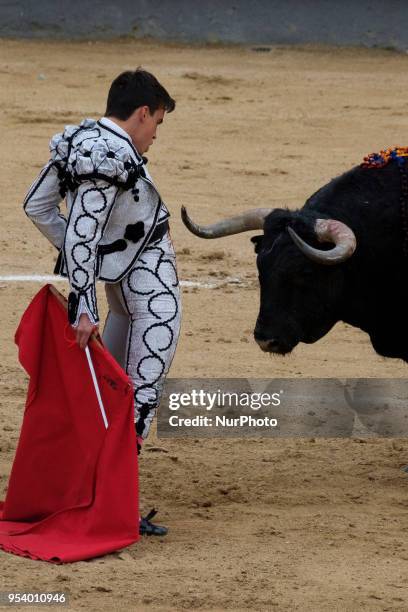 Bullfighter Gonzalo Caballero performs a pass on a bull during the bullfight festivity Goyesca 2 de Mayo at Las Ventas bullring in in Madrid, Spain...