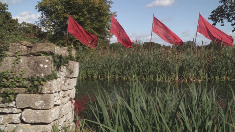 Flag Reeds Marsh Cattails Videos and HD Footage - Getty Images