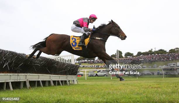 Gold Medals ridden by Clayton Douglas wins the Waterfront by Lyndoch Living Grand Annual Steeplechase at Warrnambool Racecourse on May 03, 2018 in...
