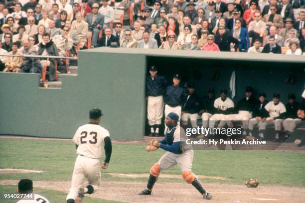 Felipe Alou of the San Francisco Giants slides home as catcher John Roseboro of the Los Angeles Dodgers waits to receive the ball during an MLB game...