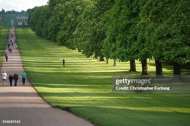 Media stand is erected half way along The Long Walk at Windsor Castle as it prepares for the weddiing of Prince Harry and his fiance, US actress...