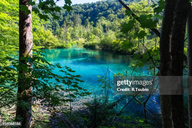 famous croatian plitvice lakes national park in europe - plitvice lakes national park stock pictures, royalty-free photos & images