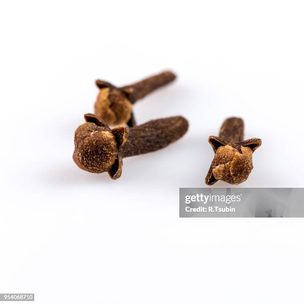 cloves spice isolated on a white background - clove stock pictures, royalty-free photos & images