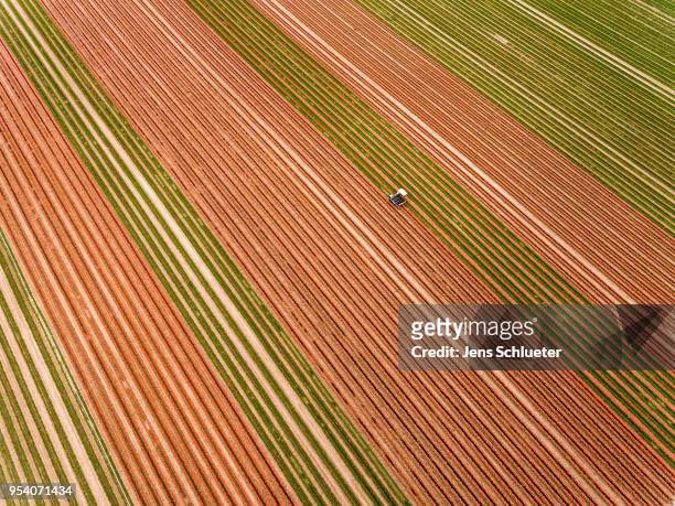 In this aerial photo, a special machine cultivates a large tulip field to separate the blossoms from the rest of the plant on May 2, 2018 in...