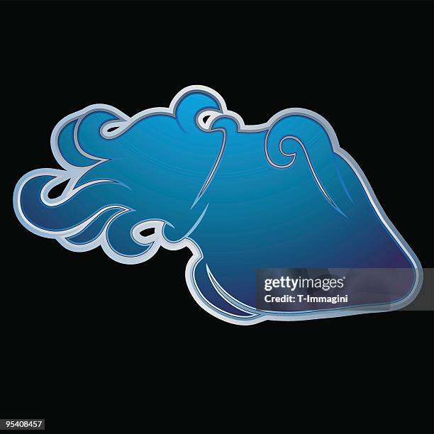 illustrazioni stock, clip art, cartoni animati e icone di tendenza di blu acquario - glass vase black background