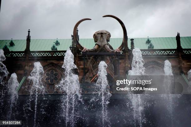 Jacques Rivals installation 'Mammuthus Volantes' seen being placed next to the water fountains in Cathedral Square in Strasbourg during the...