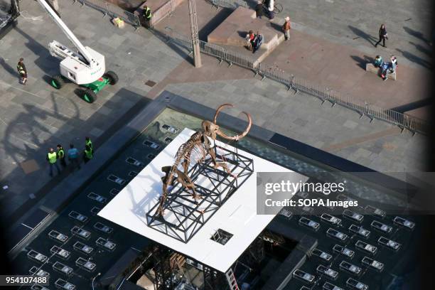 Jacques Rivals installation 'Mammuthus Volantes' seen being placed next to the water fountains in Cathedral Square in Strasbourg during the...