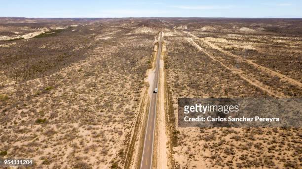 desert landscape in mexico - baja california sur stock-fotos und bilder