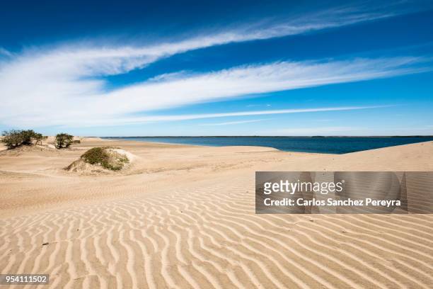 dunes in baja california peninsula - baja california peninsula stock-fotos und bilder