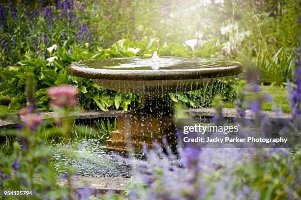 beautiful summer garden with water fountain in amongst the flowers, in the hazy sunshine - fontein stockfoto's en -beelden