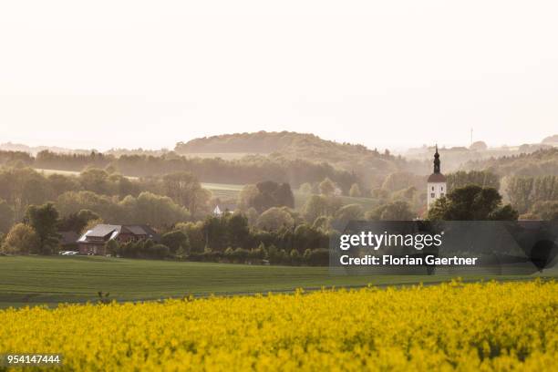 Field of rape is pictured in front of a village with a church on April 29, 2018 in Kunnersdorf, Germany.