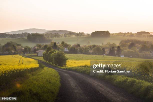 Path between two fields of rape is pictured in the evening light on April 29, 2018 in Kunnersdorf, Germany.