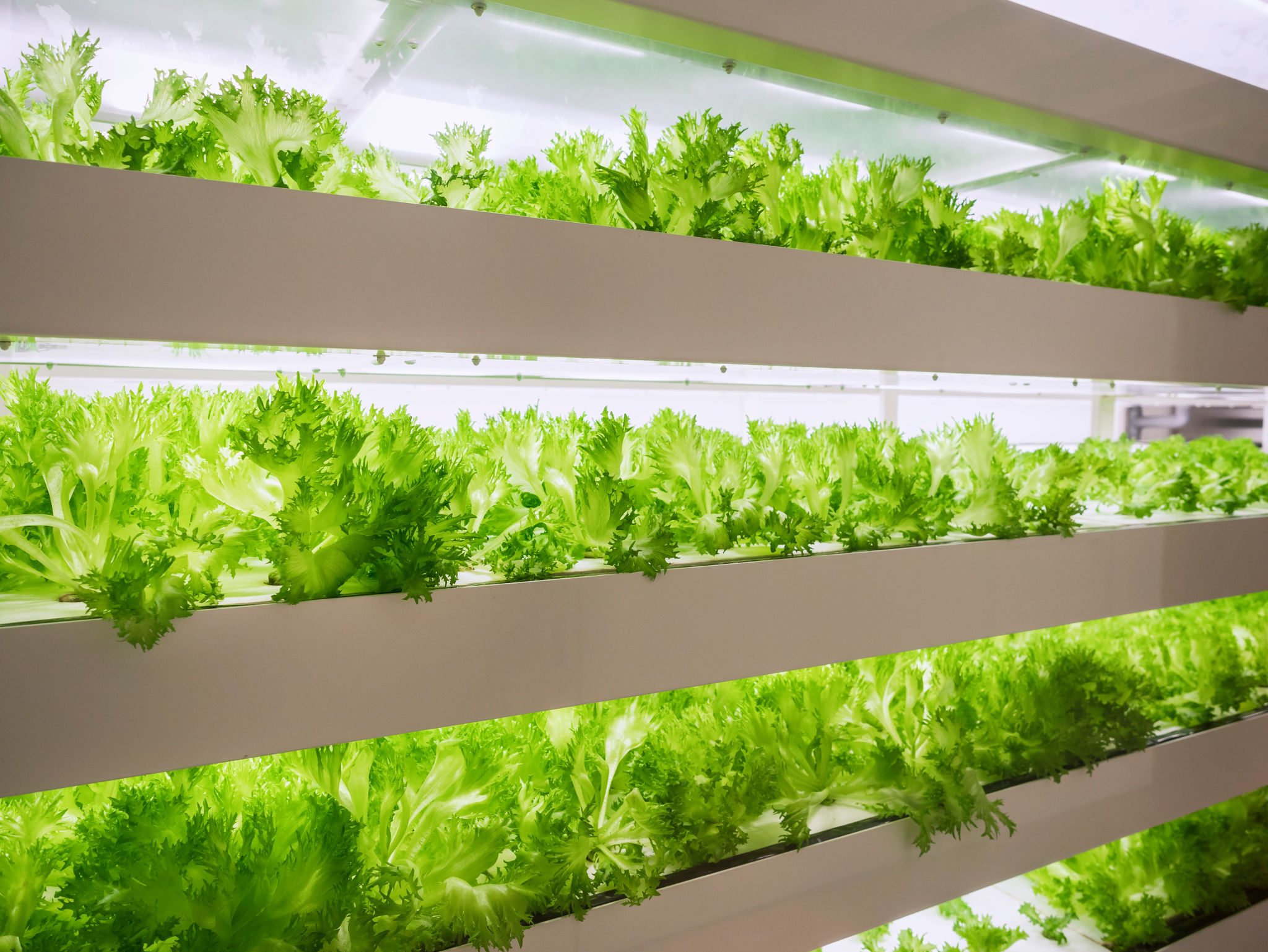 container farming