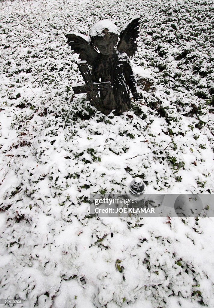 Snow covers one of the few remaining cru