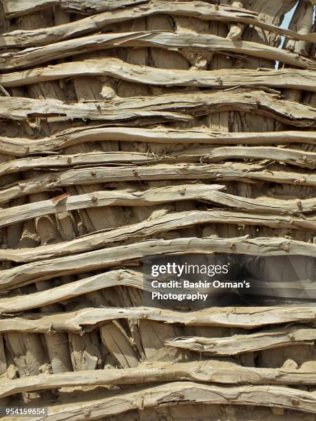 an adobe house in the rural areas of balochistan - the house of spirits stock pictures, royalty-free photos & images